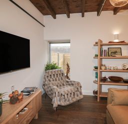 A living room with a television, chair, shelf, and plants at The Loft in Glenmore, County Kilkenny