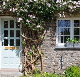The entrance with a door and window at Copper Mine Cottage in Trelill near Port Isaac