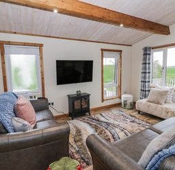 A living room with a television and sofa at Willow Lodge in Admaston near Abbots Bromley