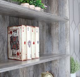 A book shelf with playing card themed book and plant in a living room at The Gavel in Morpeth