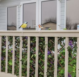 Decorative birds on a railing with foliage at Offspray Court 1 Scratby