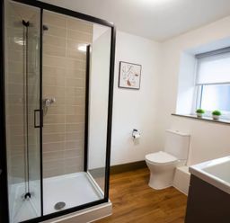 A bathroom with a shower, sink, and toilet at Oakwood Apartment in Llanrwst