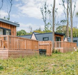 Cabins with wooden decks in a forest at Tennyson Spa (Pet) Louth