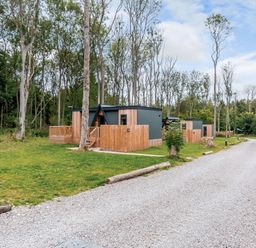 A group of cabins with pathways in a wooded area at Tennyson Spa (Pet) in Louth