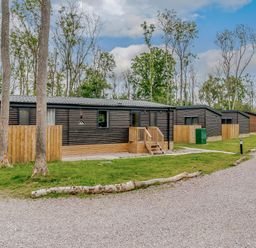 A row of cabins surrounded by trees and grass at Anderby Spa (Pet) in Louth