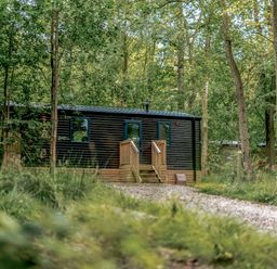 A cabin in a wooded area at Horncastle Spa Louth