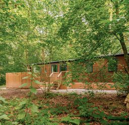 A wooden cabin in a forest setting at Alford Spa (Pet) Louth