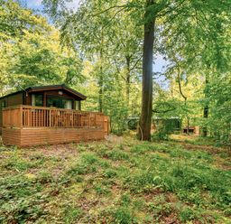 A cabin with a deck surrounded by trees at Alford Spa (Pet) in Louth