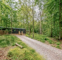 A cabin with a gravel path in the woods at Horncastle Plus (Pet) Louth