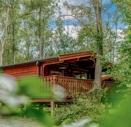 A cabin with a balcony surrounded by trees at Cedar Lodge in Louth