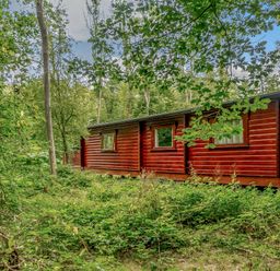 A log cabin surrounded by trees at Cedar Lodge (Pet) in Louth