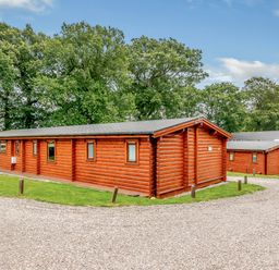 Log cabins surrounded by trees at Hazel Lodge in Louth