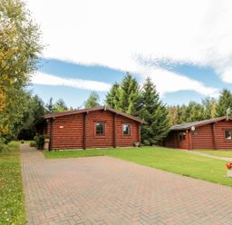 Three cabins surrounded by trees at Little Bears Hideaway @ 23 Lakeside Felmoor Park near Felton