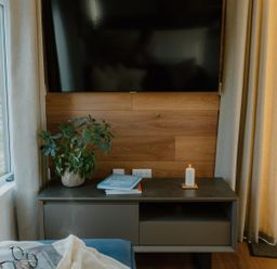 A living room with a television and a plant on a cabinet at The Elton in Kings Cliffe
