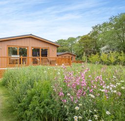 A cabin with a deck surrounded by a flower garden at The Sutton in Kings Cliffe