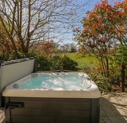 A hot tub on a patio surrounded by plants at Ivy Cottage Oldwalls, Llanrhidian, Gower