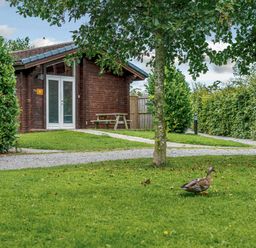 A log cabin with a picnic table in front at Yew Tree Spa (Pet) Carlton Miniott near Thirsk