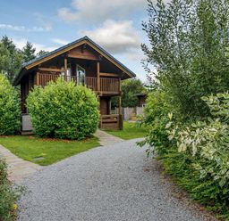 A cabin with a balcony surrounded by greenery at Birch Spa (Pet) Carlton Miniott near Thirsk