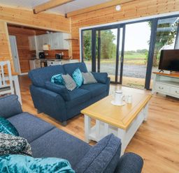 A living room with a sofa and television at Killinure Cottage in Glasson, County Westmeath