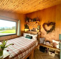 A bedroom with a bed and shelf at Harriet in Llangurig