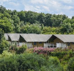 Canvas tents with wooden deck and railings at Kruger in Penrith