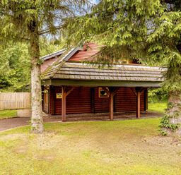A cabin surrounded by trees at Eagle Spa Plus in Dundee