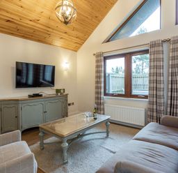 A living room with a television, sofa, and coffee table at Byron Premier Spa (Pet) Dundee
