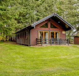A cabin surrounded by trees at Barnard Lodge (Pet) Dundee