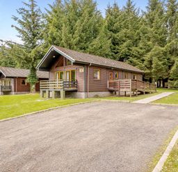 A cabin surrounded by trees and a gravel path at Osprey Lodge in Dundee