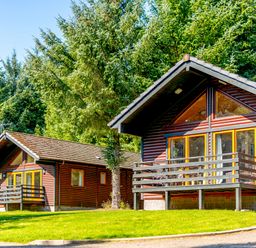 Two cabins with decks and surrounding trees at Osprey Lodge (Pet) Dundee