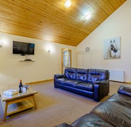 A living room with a television and sofa at Osprey Spa Plus in Dundee
