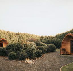 Two wooden pods in a garden with shrubs at Garden Pod VIP in Waltham