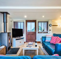 A living room with a wood stove and television at Woodyplatt in Marhamchurch