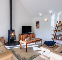 A living room with a fireplace and TV at Warrens Spa in Marhamchurch