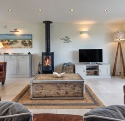 A living room with a fireplace and television at Moleyns in Marhamchurch