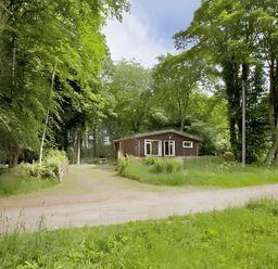 A cabin surrounded by trees at Satchwell Chalet in Inverness