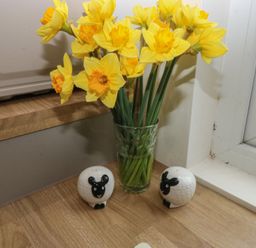 A kitchen with flowers in a vase and sheep figurines at Heidiaway Lodge Porth