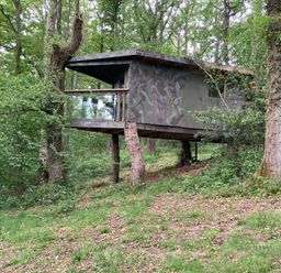 A treehouse surrounded by trees at The Tree House in the Woods Longhope