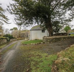 An outdoor area with a gravel path, stone wall, tree, and building at Birkbank Farm in Cockermouth