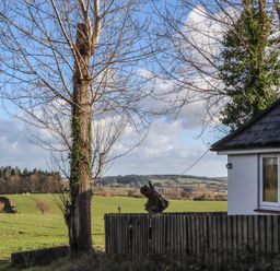 A view of a tree and house near a field at The Old Telephone Exchange Exeter