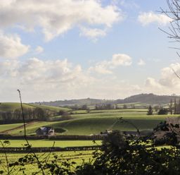 A view of fields and a house surrounded by trees at The Old Telephone Exchange in Exeter