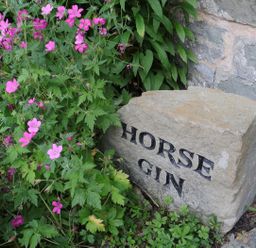 A stone with the text Horse Gin surrounded by flowers at Horse Gin in Parkend