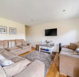 A living room with a television and two sofas at James Ville Marina Lodge 13 in Brigg