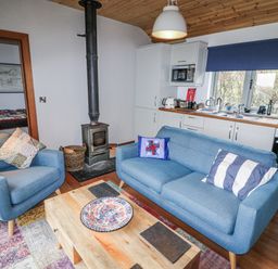 A living room with a sofa and stove at The Faithfuls Cabin in Dingle