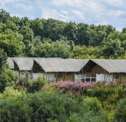 A view of tents in a green setting at Kruger (Pet) Penrith