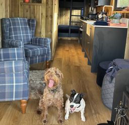 A living room with two dogs on the floor at The Suffolk Hut in Lower Peover, Cheshire