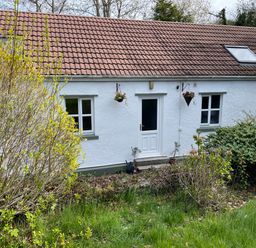 A house with a door and windows surrounded by grass and plants at Inglewood Bach, Conwy