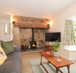 A living room with a fireplace and television at Ammerham Farm Cottage in Ammerham near Winsham