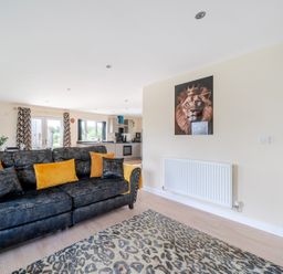 A living room with a sofa and rug at Poker Lodge near Brigg