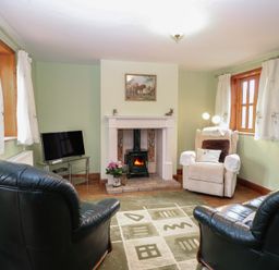 A living room with a television and fireplace at Mabby in Caister-On-Sea